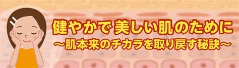 健康的皮膚|健やかで美しい肌のために～肌本来のチカラを取り戻。